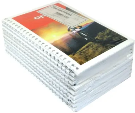 ESC CADERNO DNA 48FLS C/20
