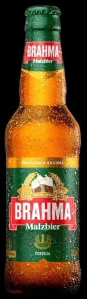 CERV BRAHMA MALZBIER LNC 24X355ML
