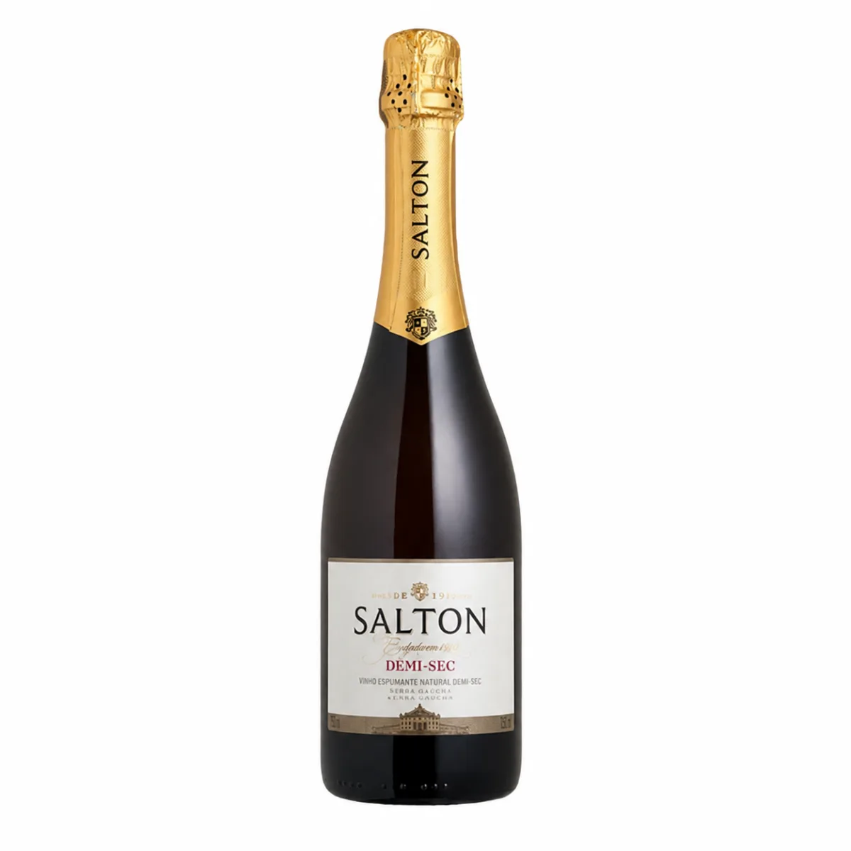 ESPUMANTE SALTON DEMI SEC 750ML