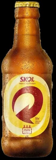 SKOL PILSEN VDR RETORN 23X300ML
