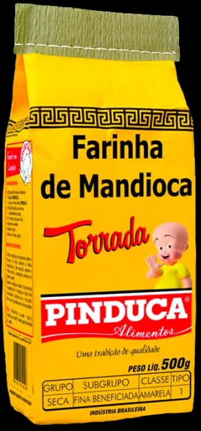 PINDUCA TORRADA 10X500G