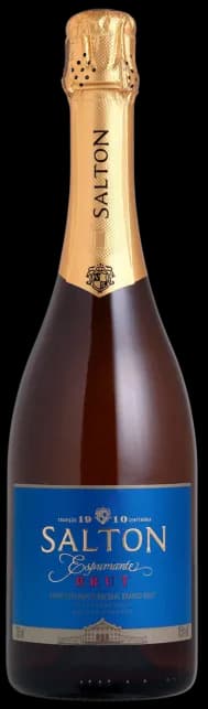 ESPUMANTE SALTON BRUT 750ML