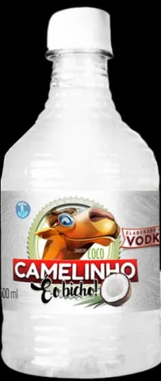 COQ CAMELINHO AGUA COCO 12X500