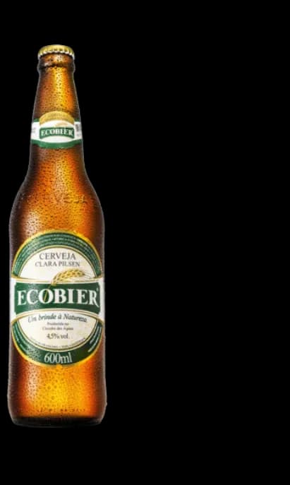 ECOBIER PILSEN 24X600ML