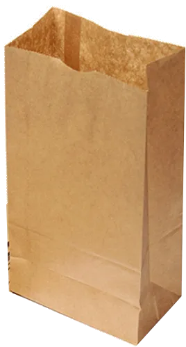 SACO PAPEL KRAFT 1KG C/500