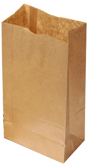 SACO PAPEL KRAFT 5KG C/500