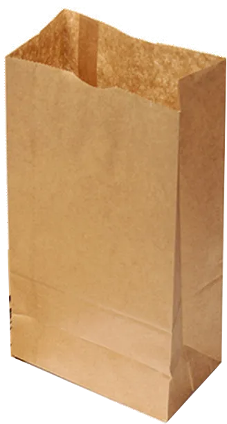 SACO PAPEL KRAFT 10KG C/500