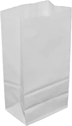 SACO PAPEL KRAFT BCO 1KG C/500