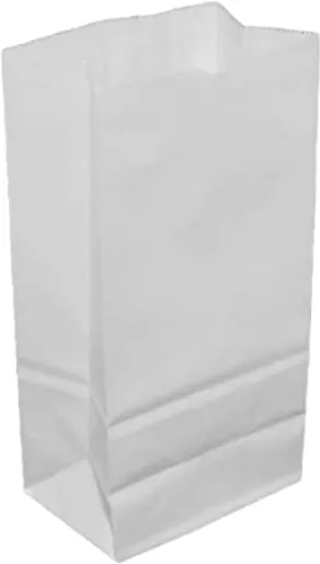 SACO PAPEL KRAFT BCO 3KG C/500