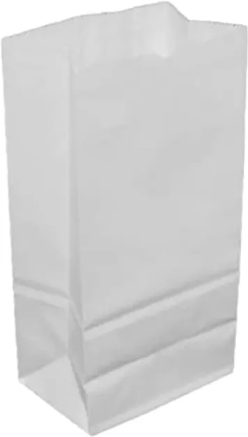SACO PAPEL KRAFT BCO 10KG C/500