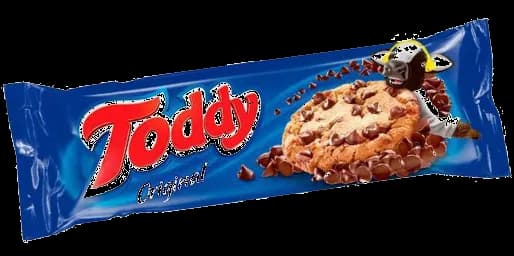 BISC COOKIES TODDY GOTAS CHOC 16X57G