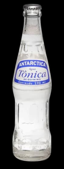 TONICA ANTARTICA KS 24X290ML