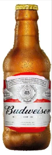 BUDWEISER VDR RETORN 23X300ML